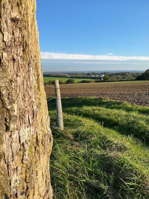 Ferienwohnung An Der Hohwachter Bucht Lütjenburg エクステリア 写真